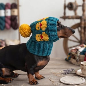 May include: A dark-coated dachshund wearing a teal knitted snood-style hat with a ribbed neck, a yellow pom-pom on the side, and a repeating yellow and red duck pattern across the top section of the head covering.