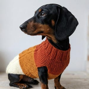 Dog Sweater Tricolor Striped Cable Knit Warm Knitted Winter Clothes for Dachshund with Aran Pet Jumper Festive Outfit