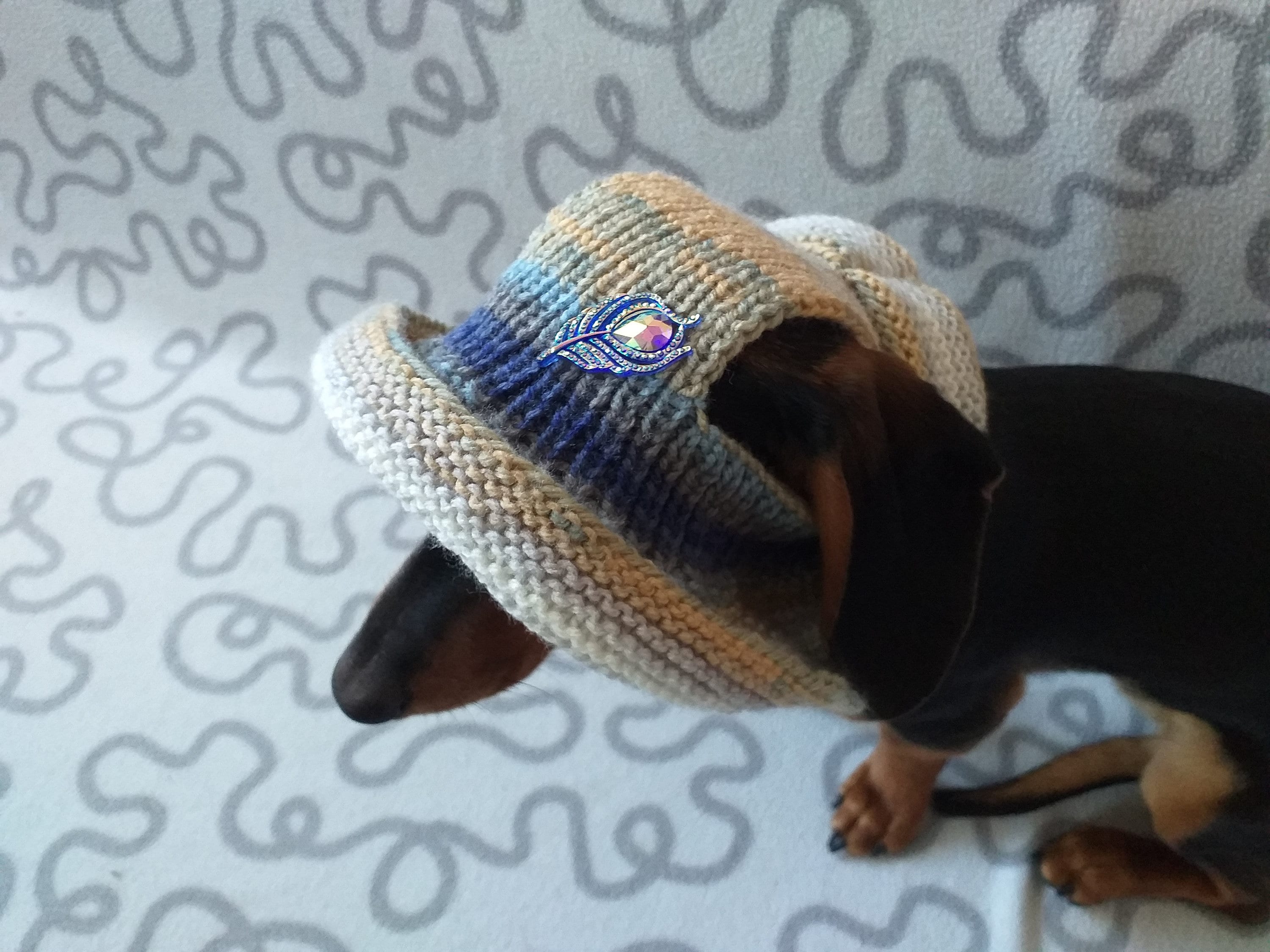 Summer sun hat for dog summer accessory for dog hat for dog Etsy