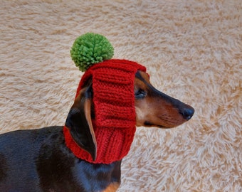 Winter Knitted Hat for Dachshund with Open Ears,Dog Hat for Photoshoot