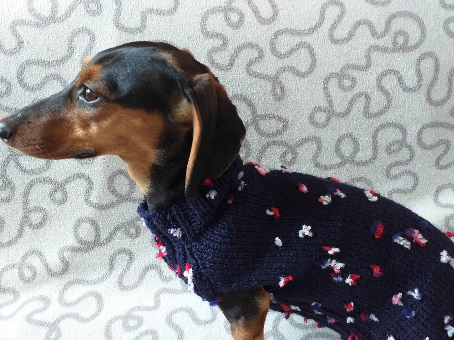 Floral Mini Dachshund Jumper Dog Coat Clothes Dog Sweater Etsy