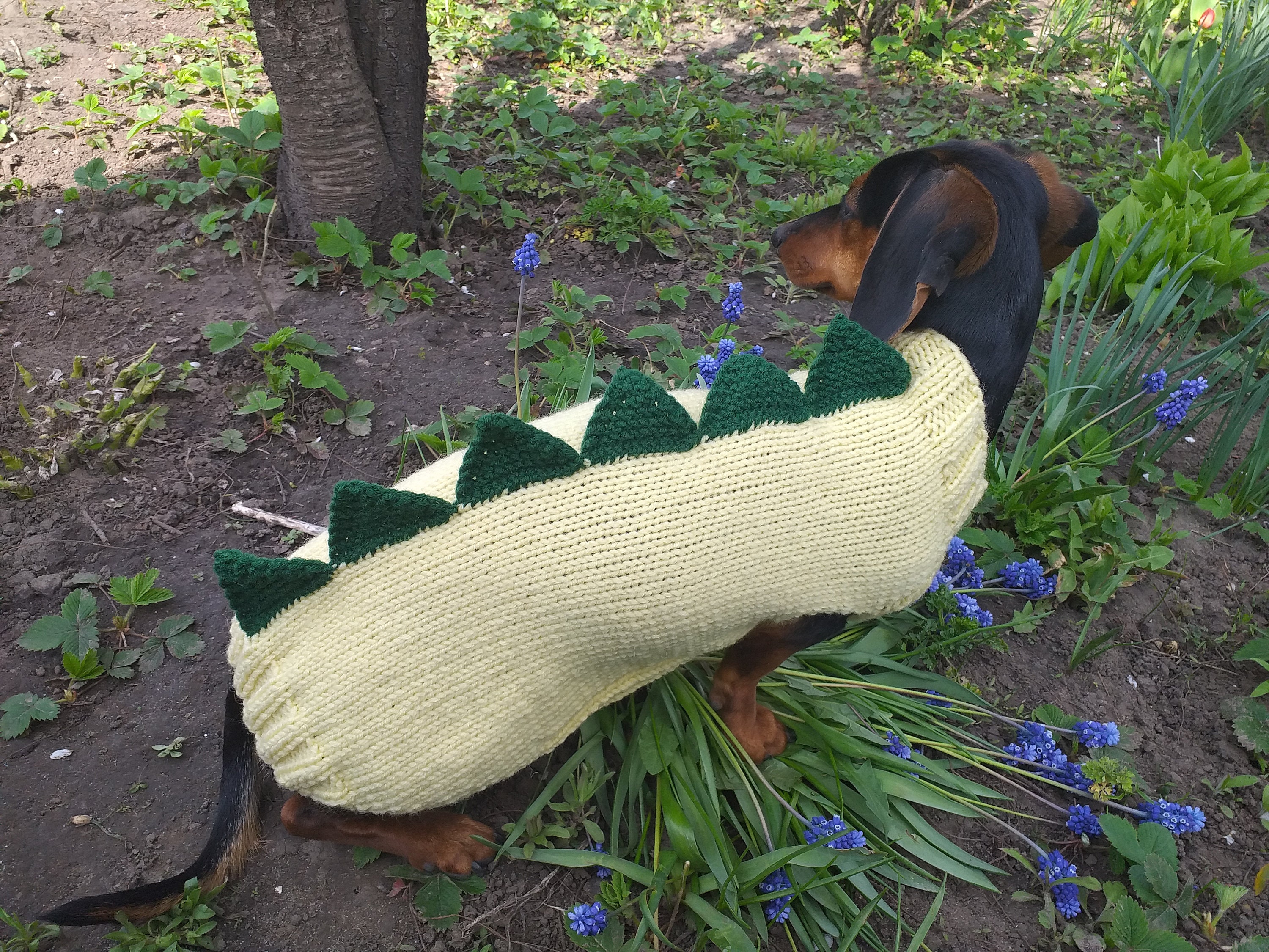 Dog Dinosaur Knitted Clothes Sweater Dinosaur Sweater for Etsy