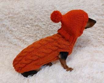 Sweatshirt winter coat for dogs, jumper for dachshunds, hoodies for pets