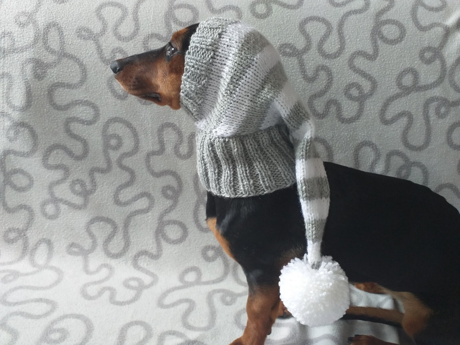 Christmas elf hat for dachshunds or small dogs Dog Elf Hat Etsy