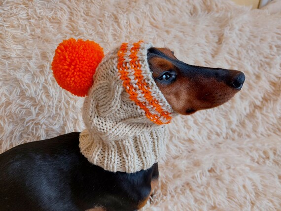 Weenie Dog Clothes: Stylish Outfits for Every Season