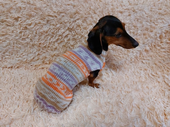 zuiverheid Arab Accor Bright Sweater for a Petite Dachshund Pet Clothes Patterned - Etsy Denmark