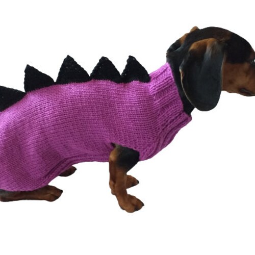 Dinosaur Knitted Jumper for Small Dogs Dinosaur Sweater for Etsy