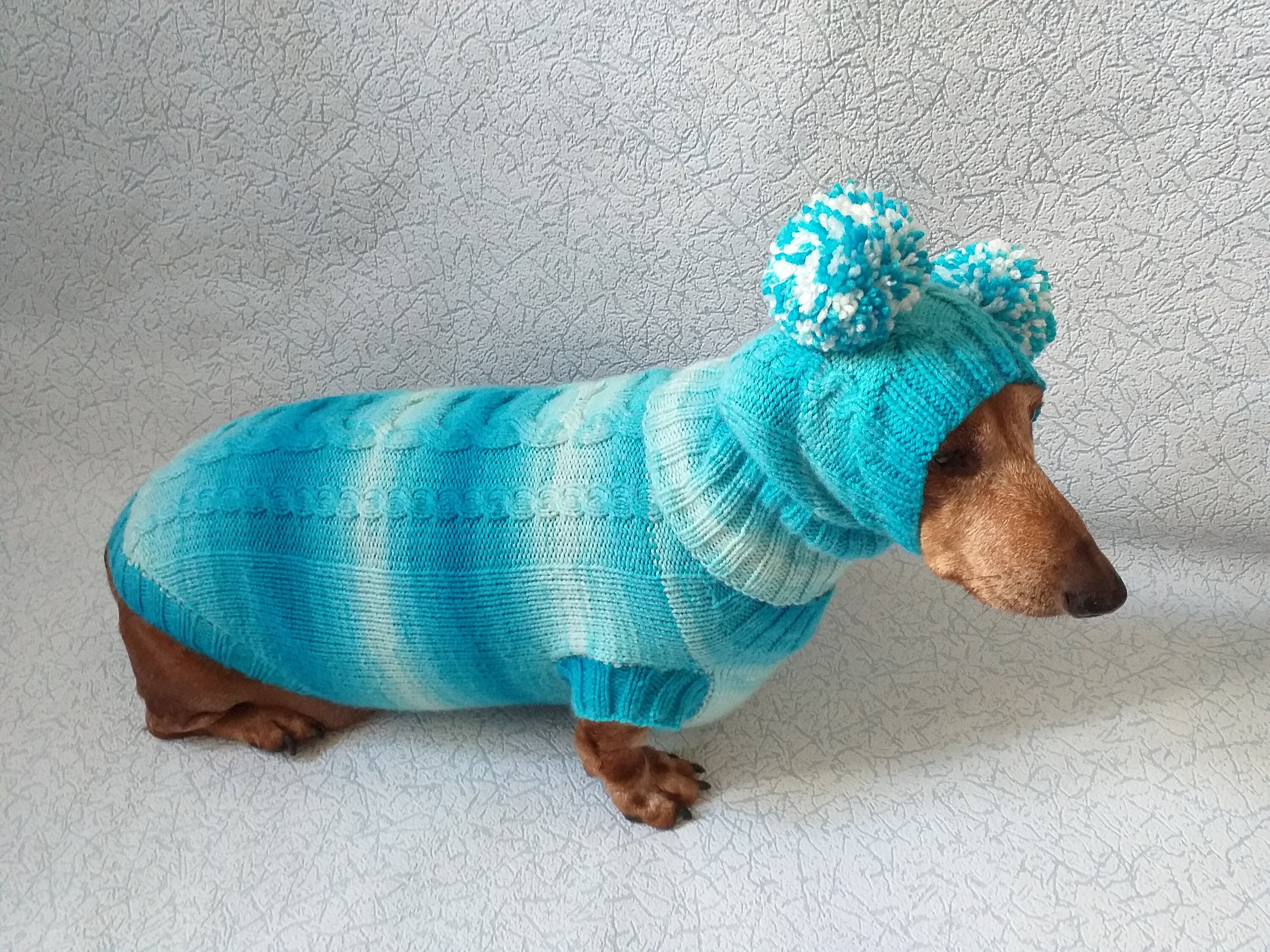 Warm blue suit sweater and hat for dog hat for dachshund Etsy