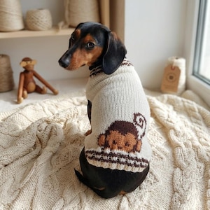 Può includere: Un cane bassotto nero e marrone con un maglione lavorato a maglia color crema con un disegno di scimmia. Il cane è seduto su una coperta a trecce color crema. Una statuina di scimmia in legno è sullo sfondo.