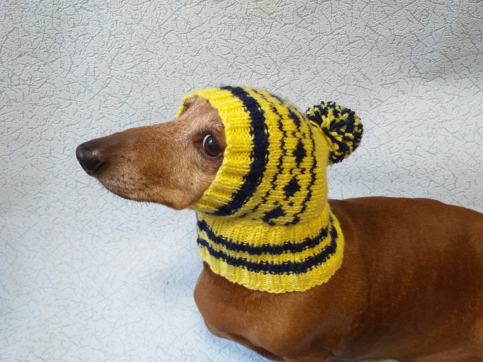 Winter Knitted Hat for Small Doghat for Dogs Pet Clothes Etsy