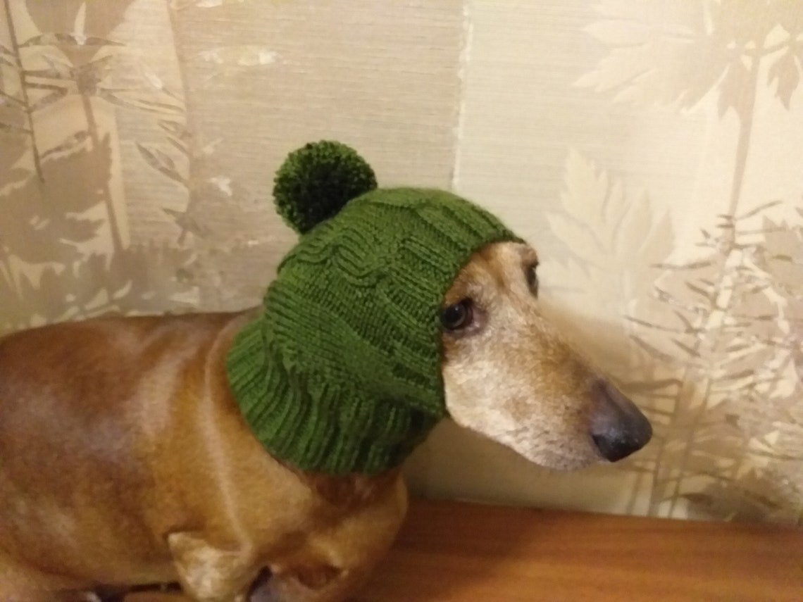 Winter knitted hat for small doghat for dogs pet clothes Etsy