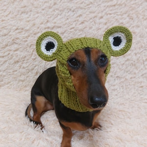 Frog dog hat snood animal warm costume for pets custom knitting,halloween beanie dachshund clothes apparel outfit  Dog Photo Prop
