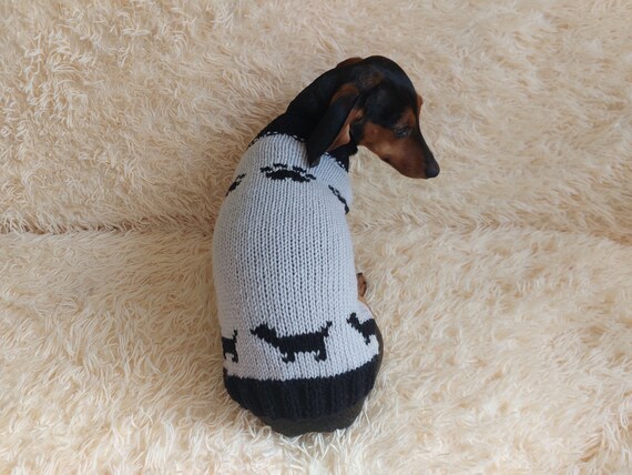 Dog Clothes for a Dachshund: Stylish and Snug Fits