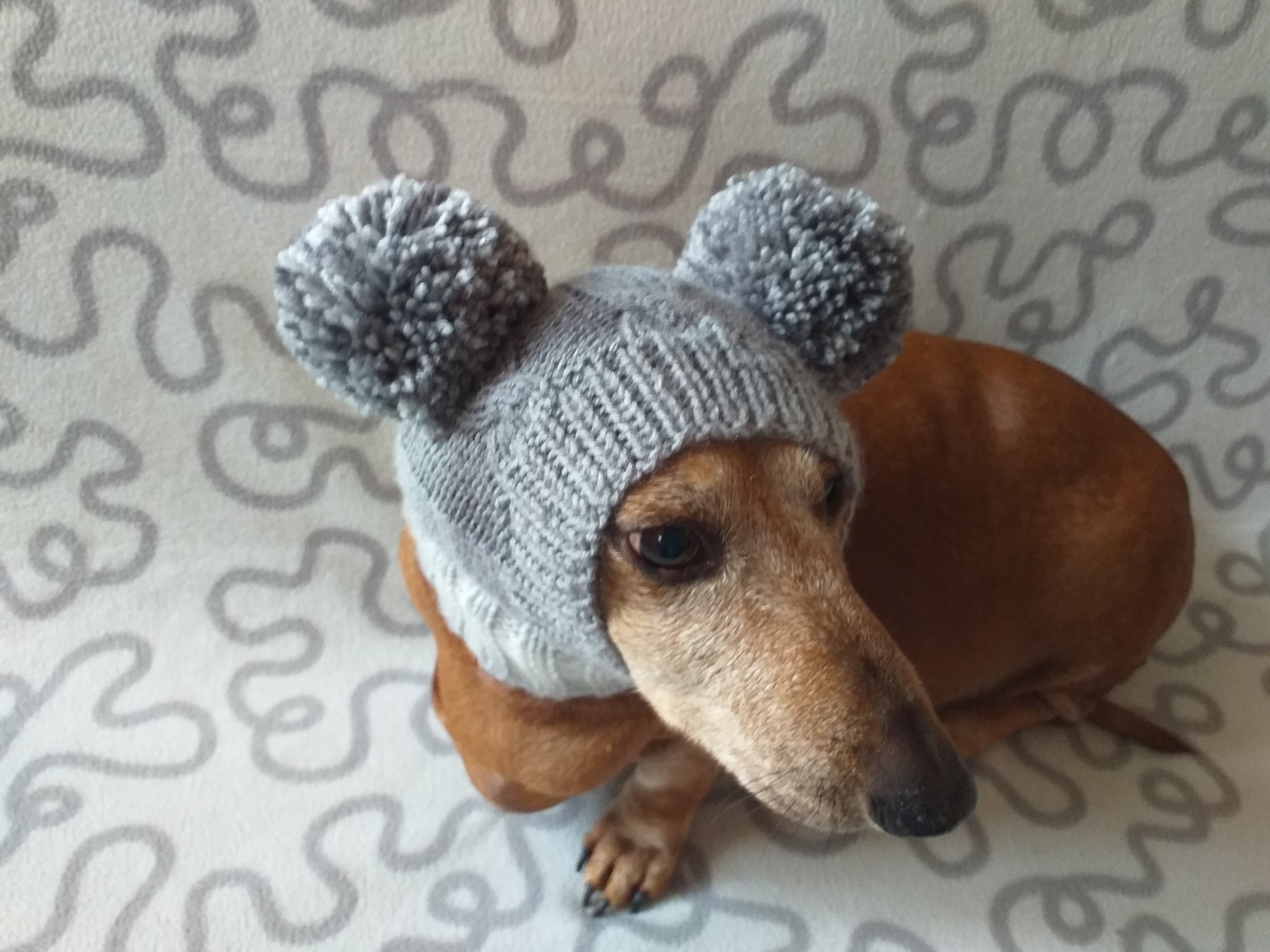 Knitted hat for dog with two large pompons Etsy