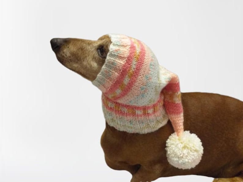Winter Christmas Clothes for Dogs Knitted Hat With Pompon Etsy