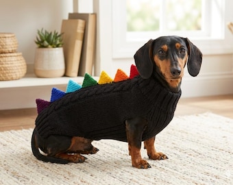 Rainbow Dinosaur Knitted Dog Sweater: dachshund animals outfit wool Jumper