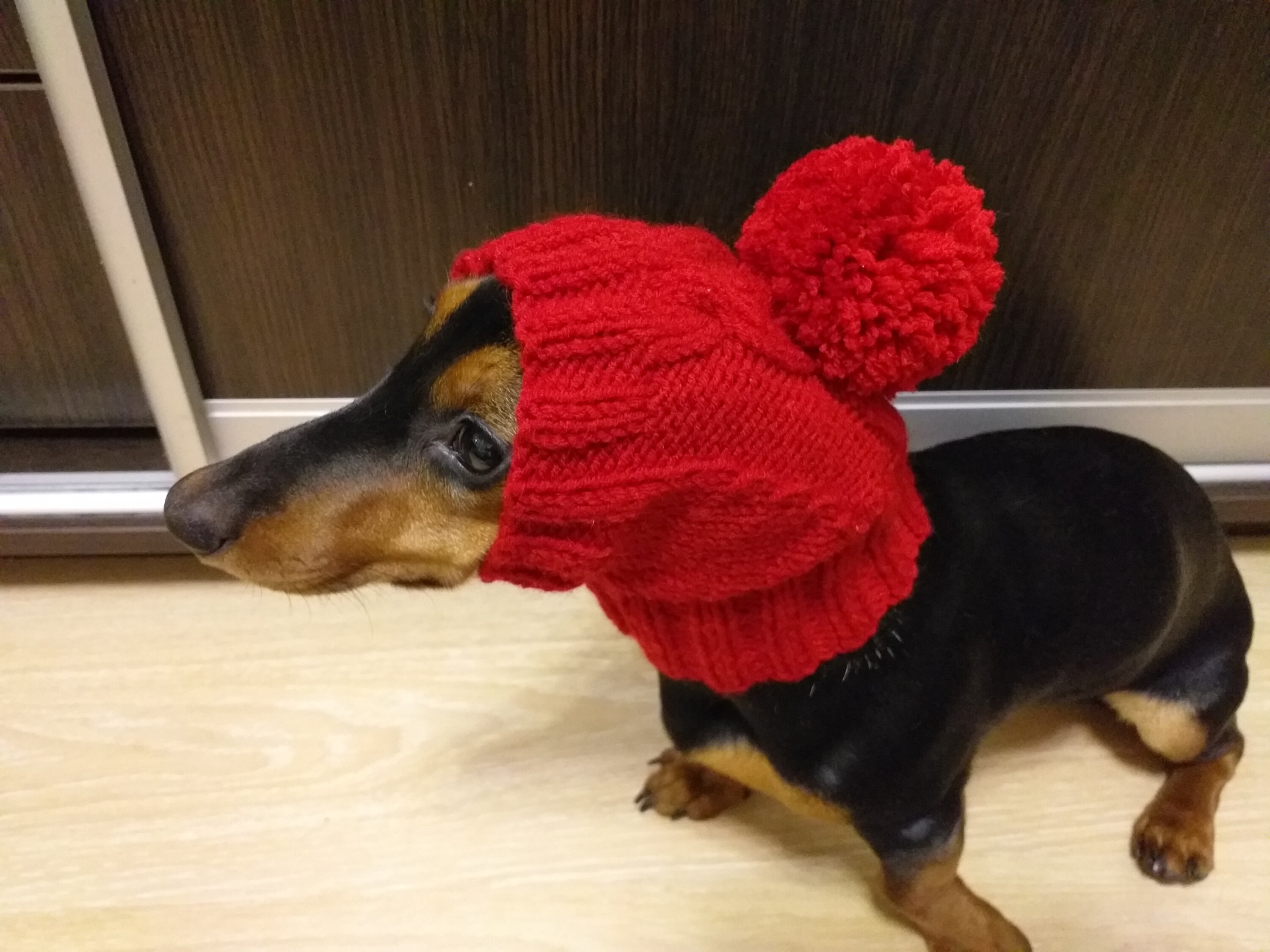 Knitted Hat With Pom Pom for Dogs Hat With Pom Pom for Mini Etsy