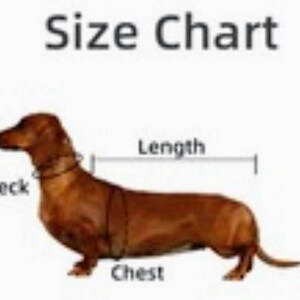 Puede incluir: Una tabla de tallas para ropa de perro, con un perro salchicha marr&oacute;n con puntos de medici&oacute;n etiquetados para cuello, pecho y largo. El texto "Size Chart" est&aacute; en la parte superior.