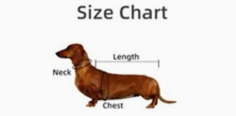 Puede incluir: Una tabla de tallas para ropa de perro, con un perro salchicha marr&oacute;n con puntos de medici&oacute;n etiquetados para cuello, pecho y largo. El texto "Size Chart" est&aacute; en la parte superior.