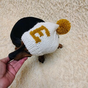 May include: A white knit dog hat with a mustard yellow letter "E" and a matching pom-pom. The hat is on a black and brown dachshund. The dog is on a cream-colored, fluffy surface.