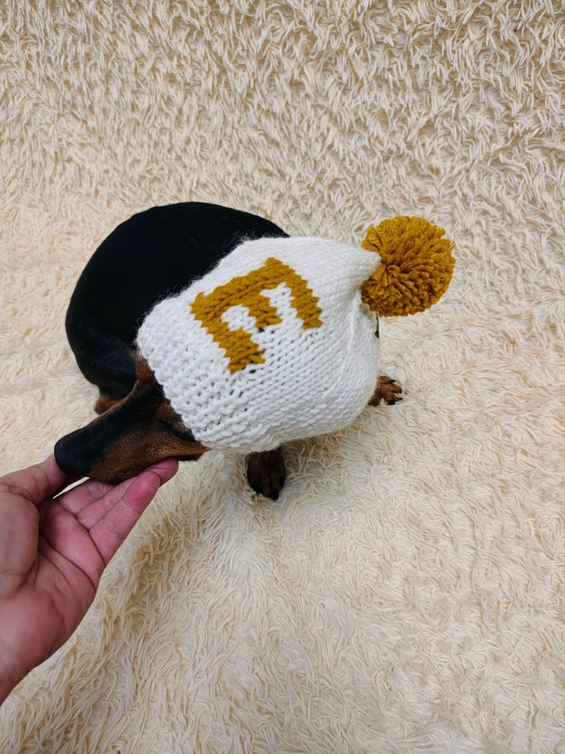 May include: A white knit dog hat with a mustard yellow letter "E" and a matching pom-pom. The hat is on a black and brown dachshund. The dog is on a cream-colored, fluffy surface.