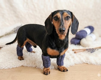 Custom Dog Leg Warmers for Dachshunds, Knitted Pet Leggings, Dog Winter Apparel, Handmade Leg Protectors for Dogs, Weiner Dog Accessories