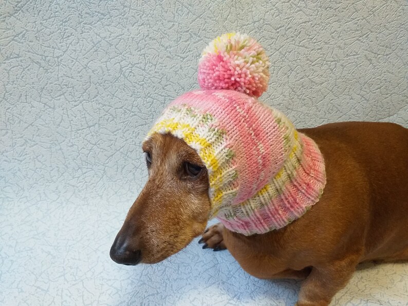 Knitted Dachshund Hat With Big Pompom Doxie Clothes Doxie Etsy