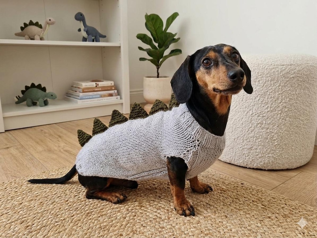 恐竜ニットセーター犬動物服オリジナルハロウィン衣装ペットディノ