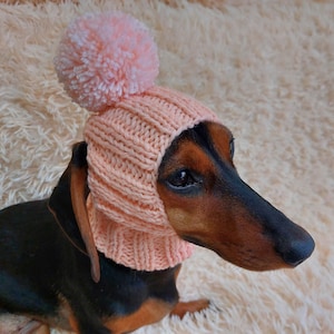Puede incluir: Un dachshund negro y marrón con un gorro de punto rosa con un pompón esponjoso.