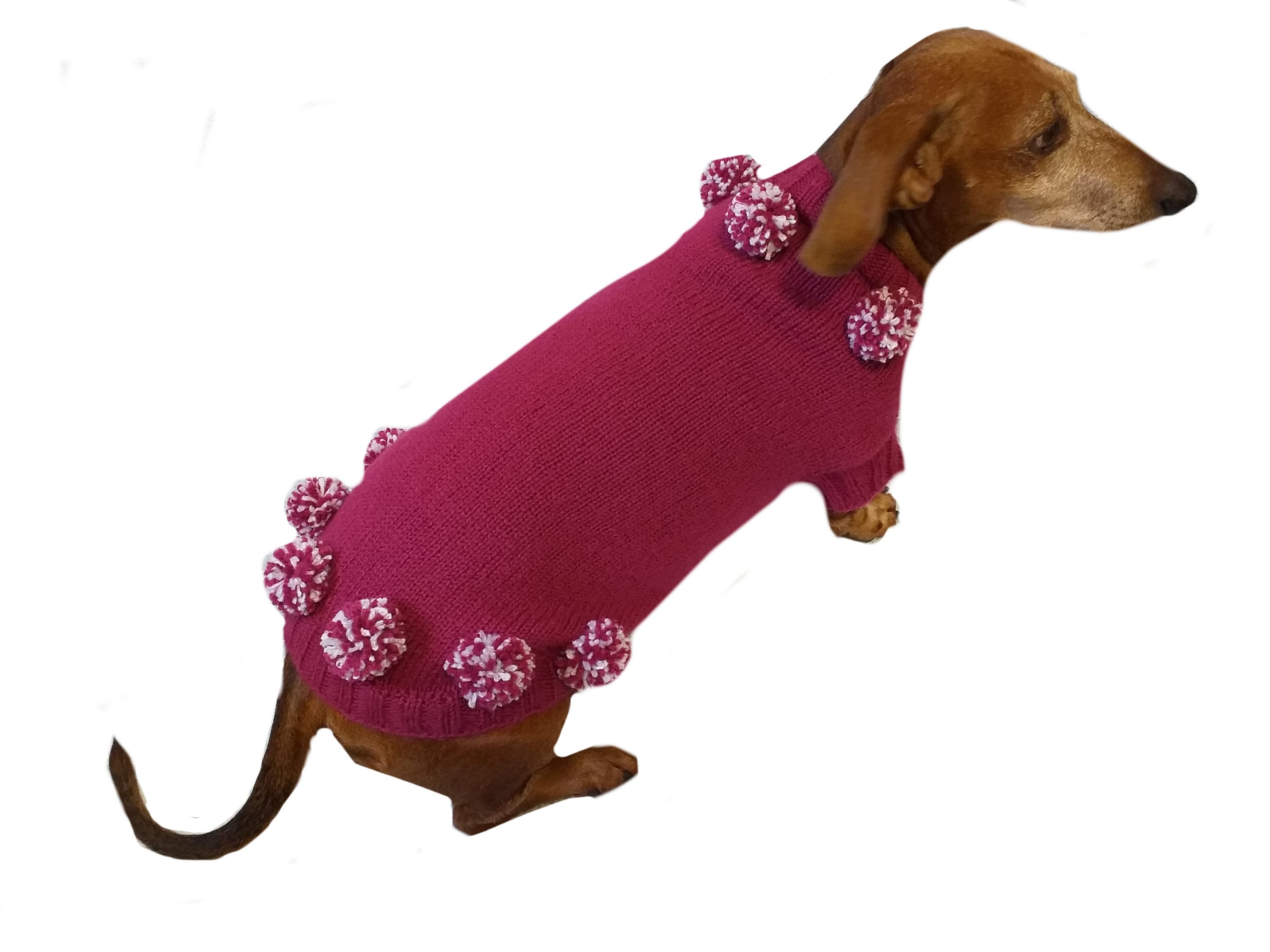 Miniature dachshund clothes cheap