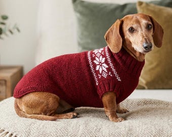 Può includere: Un bassotto indossa un maglione lavorato a maglia rosso scuro con un motivo a fiocchi di neve bianchi intorno al collo e alle spalle. Il maglione presenta un colletto a coste e aperture per le zampe anteriori a coste.
