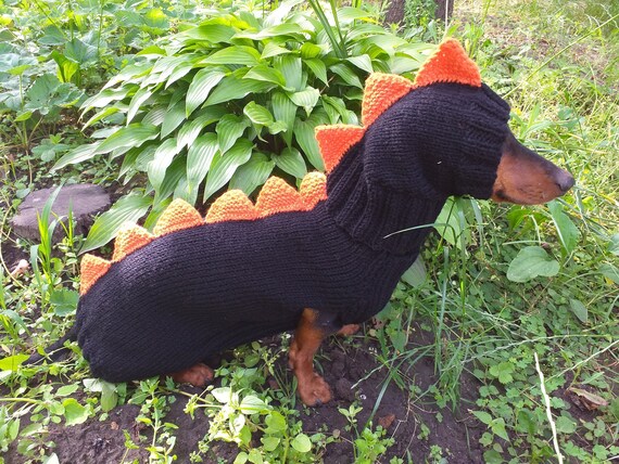 Disfraz de dinosaurio para perros suéter y sombrero de - Etsy México Disfraz de dinosaurio para perros suéter y sombrero de - Etsy México