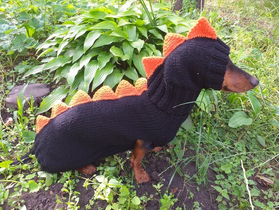 Pin on Dachshund Costumes