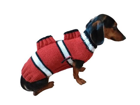 Vis kostuum voor trui trui vis voor honden kleding - Etsy België