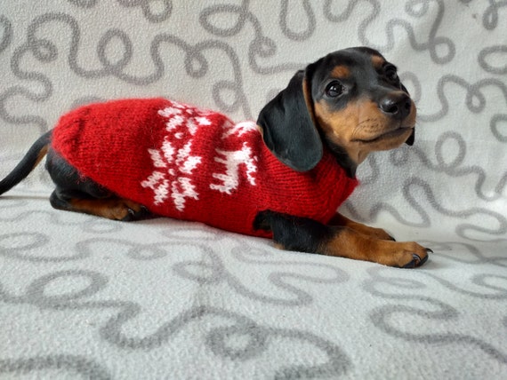 Christmas jumper for sausage dog deals