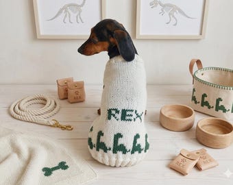 May include: A small dog wearing a cream-colored knit sweater with green dinosaur patterns and the name REX knitted on the back. The set includes a matching cream knit blanket, a rope leash, two wooden bowls, a canvas storage bin, and leather pouches.