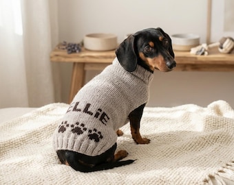 May include: A small black and tan dachshund wearing a light gray knitted sweater with a ribbed turtleneck. The sweater features the name ELLIE in dark brown letters across the back, followed by a row of three dark brown paw print motifs.