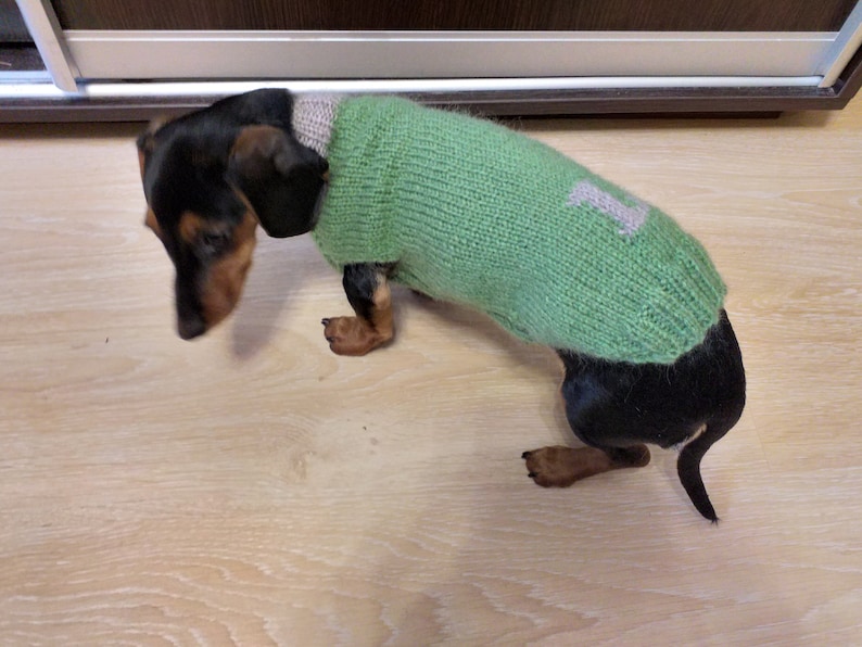 Personalized Dog Sweater With Initials Dog Clothes With Etsy