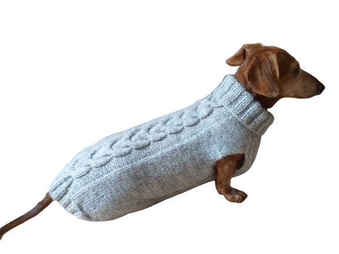 Fondos canal Síguenos Suéter de punto de ropa de perro salchicha suéter de lana de - Etsy España