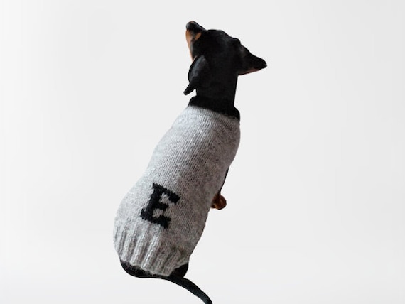 Dog Clothes Sweaters for Small Dogs Designer Luxury Letter Sweater