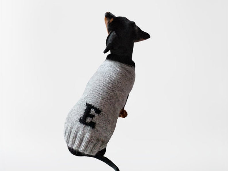 Personalized Dog Sweater With Initials Dog Clothes With Etsy