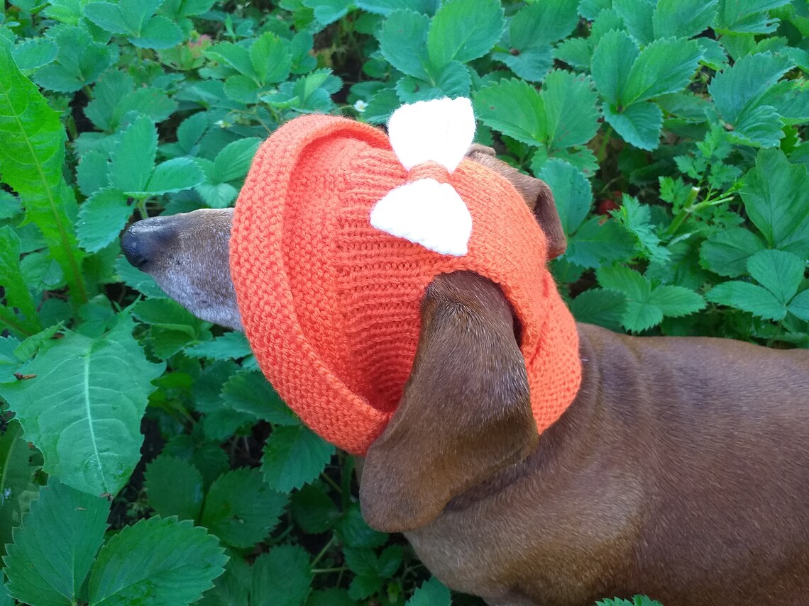 Summer Knitted Hat for Dogs Panama for Dogs Hat for Dogs Etsy
