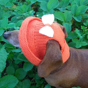 Summer knitted hat for dogs, panama for dogs,  hat for dogs, hat for dachshund, accessories for dogs, gift for dogs, dog clothes,hat the sun