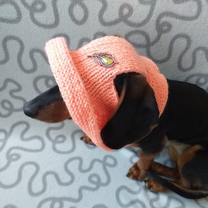 Pink sun hat for dog, summer accessory for dog, hat for dog, gift for dog