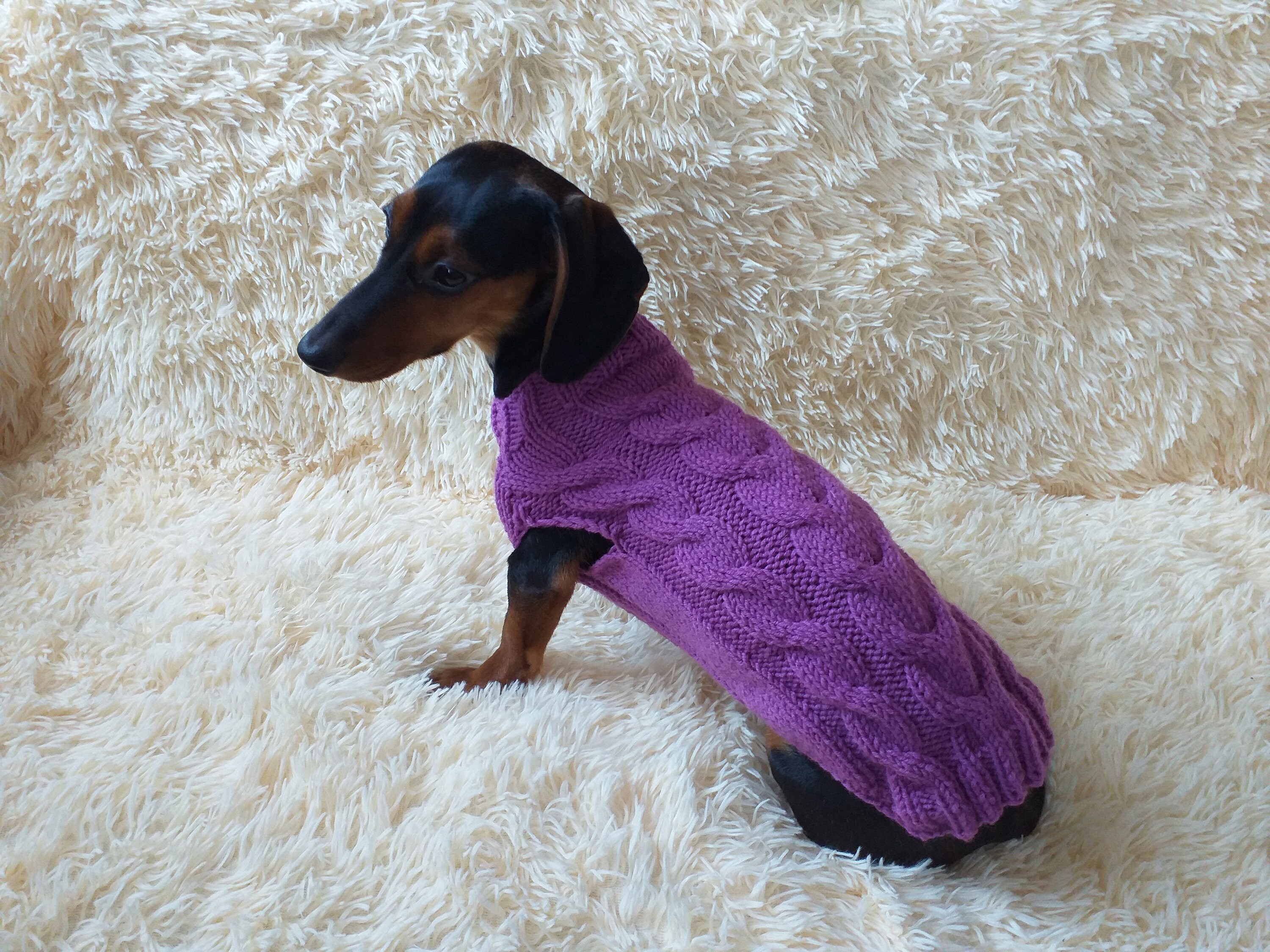 Dackel Pullover Mit Rollkragen – Ultraweich, Dehnbar – Für Winter, Weihnachten & Halloween (Blau, XL)