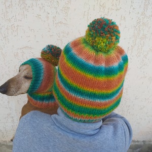 Set of warm wool hats with pom-pom for mom and dachshund, set of knitted hats with pom-pom for hostess and dog image 4