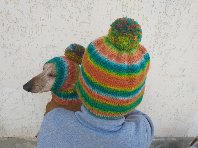 Set of warm wool hats with pom-pom for mom and dachshund, set of knitted hats with pom-pom for hostess and dog image 4