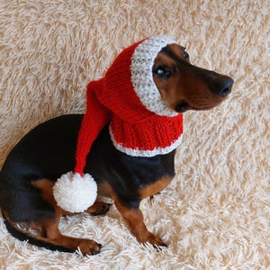 Santa hat for dog, christmas santa hat for dog, santa hat for dachshund