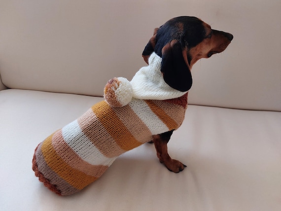 Pull pour teckel sales