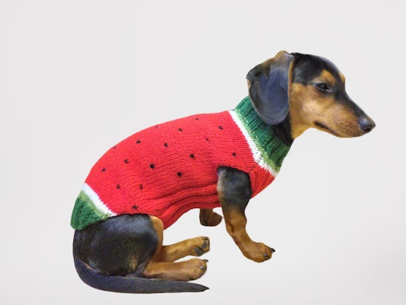cache zuurstof complexiteit Watermeloen trui voor kleine honden Watermeloen gebreide - Etsy Nederland